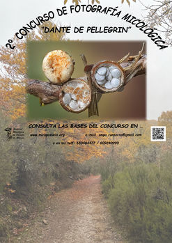 Concurso fotográfico